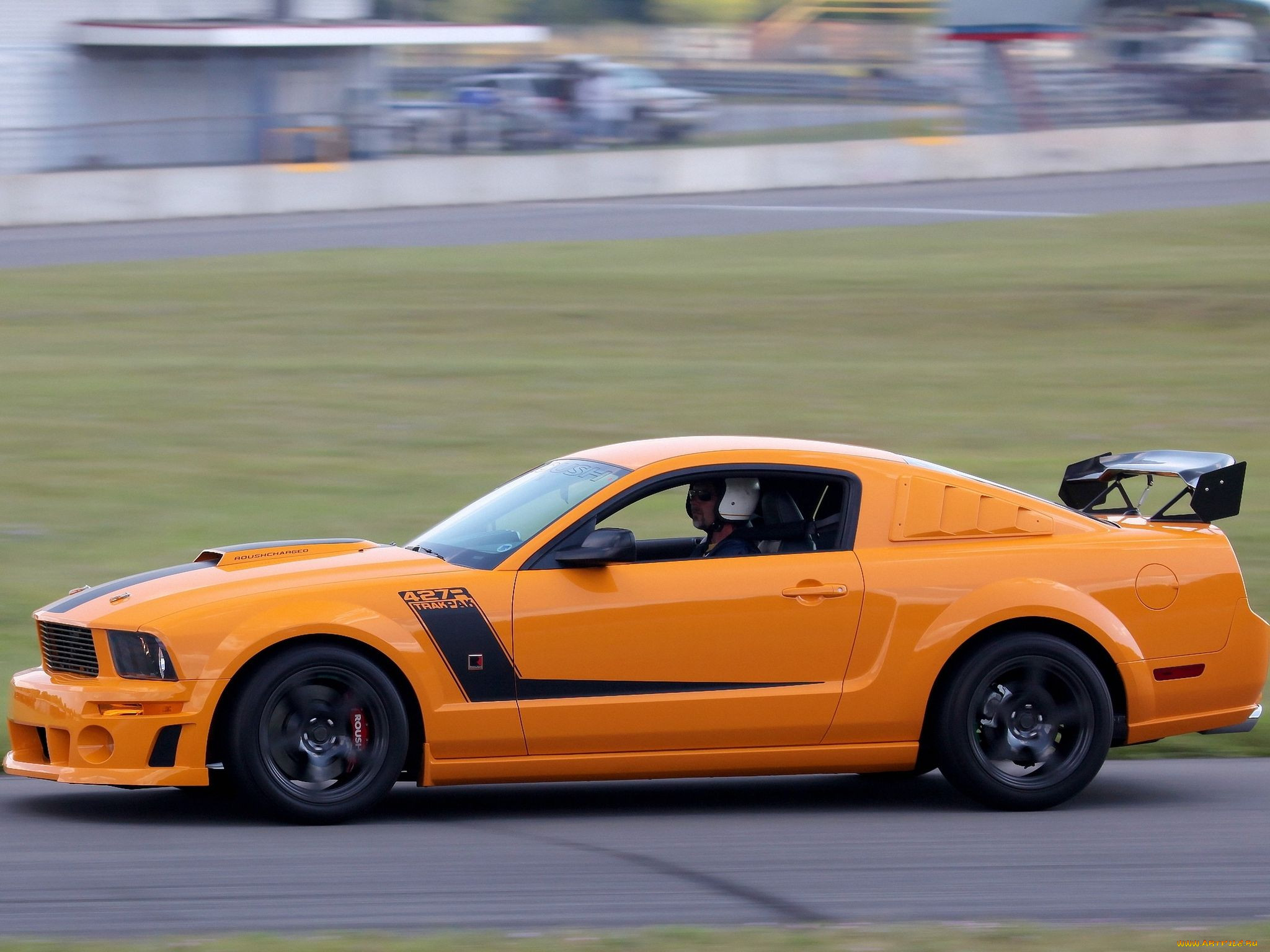 , mustang